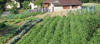 Vu du potager